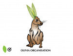 OLIVIA-ORGANISATION