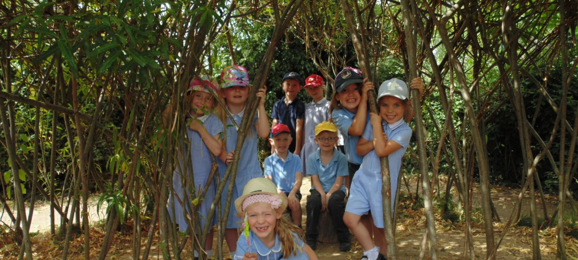 Children in trees 2018-017