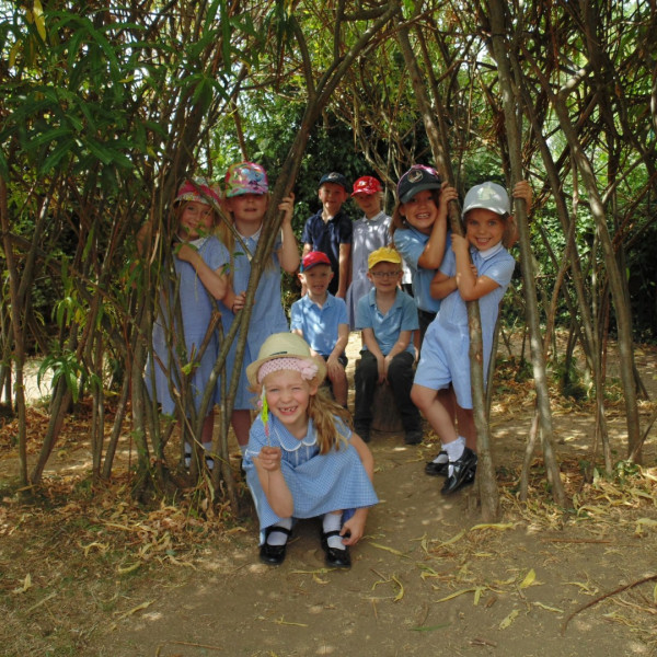 Children in trees 2018-017