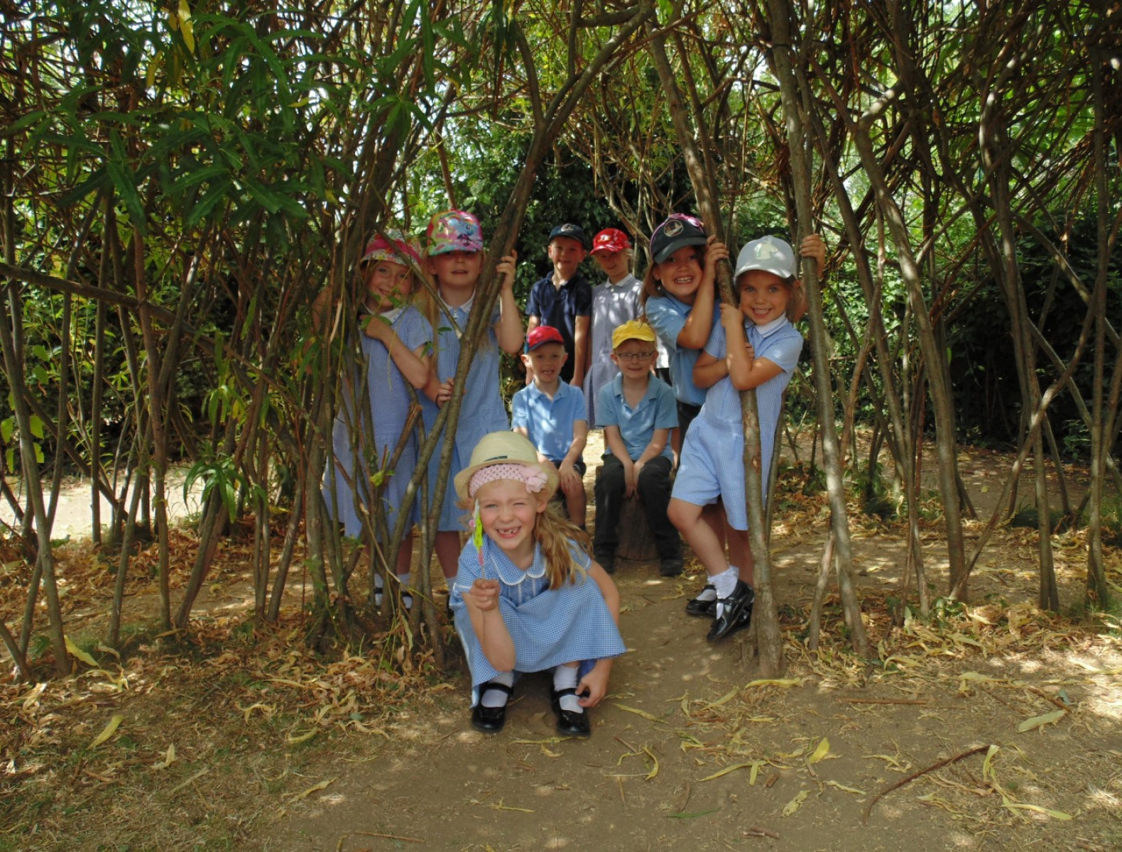 Children in trees 2018-017