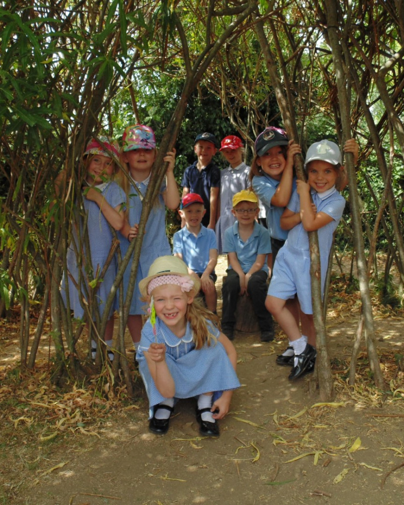 Children in trees 2018-017